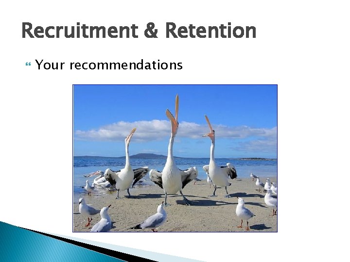 Recruitment & Retention Your recommendations 