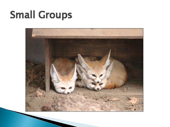 Small Groups 