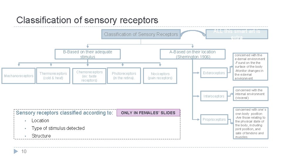Classification of sensory receptors Classification of Sensory Receptors A-Based on their location (Sherrington 1906)