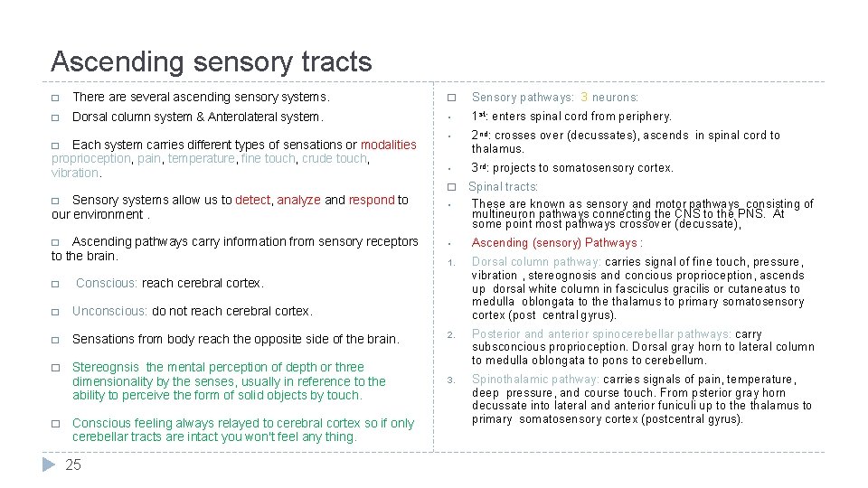 Ascending sensory tracts � There are several ascending sensory systems. � Sensory pathways: 3