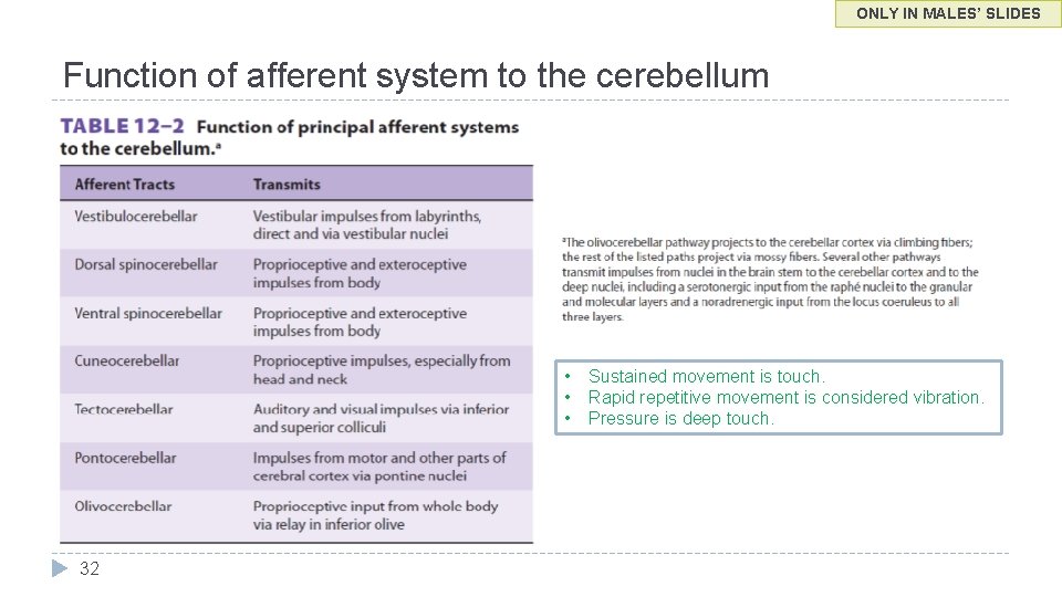 ONLY IN MALES’ SLIDES Function of afferent system to the cerebellum • • •
