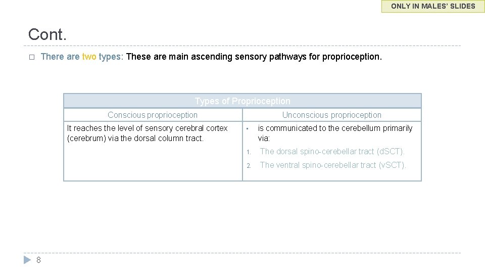 ONLY IN MALES’ SLIDES Cont. � There are two types: These are main ascending