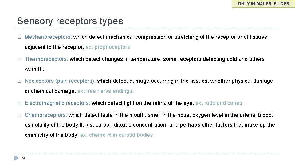 ONLY IN MALES’ SLIDES Sensory receptors types � Mechanoreceptors: which detect mechanical compression or