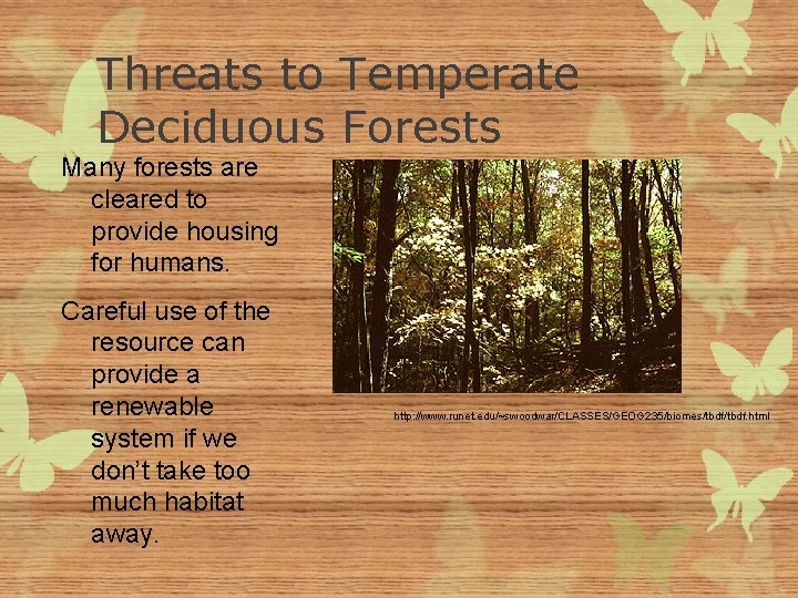Threats to Temperate Deciduous Forests Many forests are cleared to provide housing for humans.