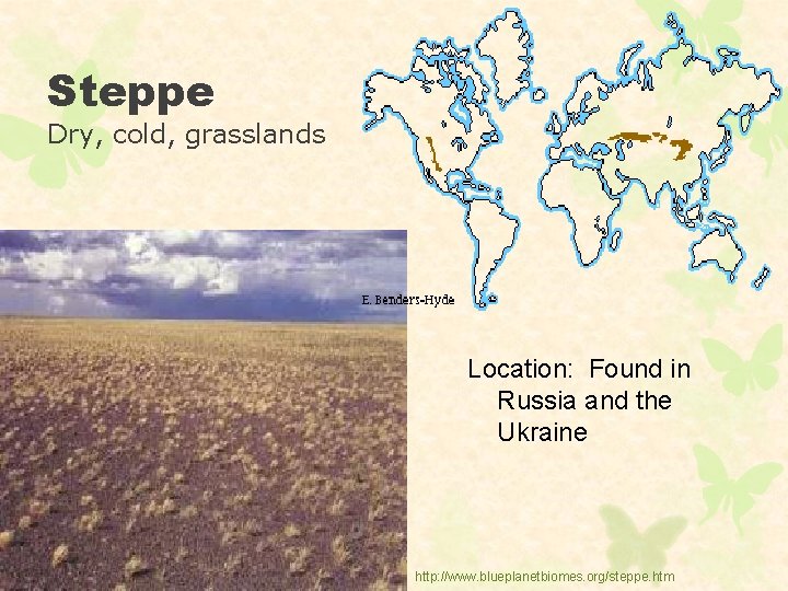 Steppe Dry, cold, grasslands Location: Found in Russia and the Ukraine http: //www. blueplanetbiomes.