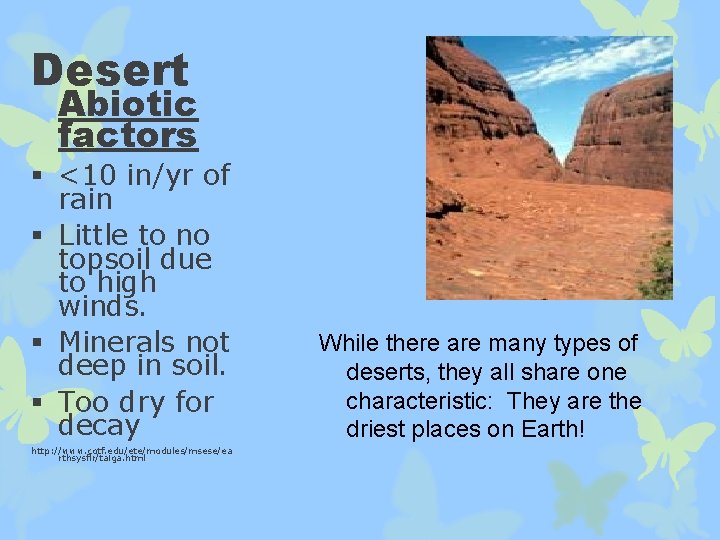 Desert Abiotic factors § <10 in/yr of rain § Little to no topsoil due