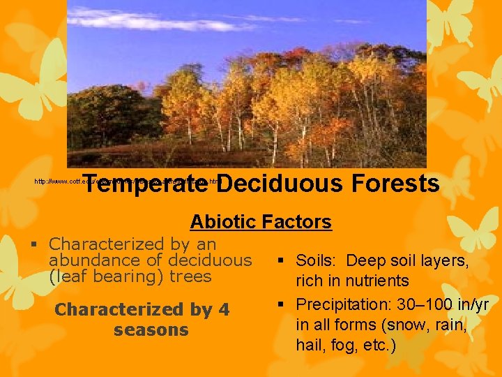 Temperate Deciduous Forests http: //www. cotf. edu/ete/modules/msese/earthsysflr/taiga. html Abiotic Factors § Characterized by an