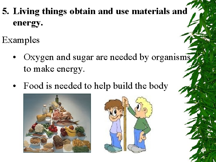 5. Living things obtain and use materials and energy. Examples • Oxygen and sugar