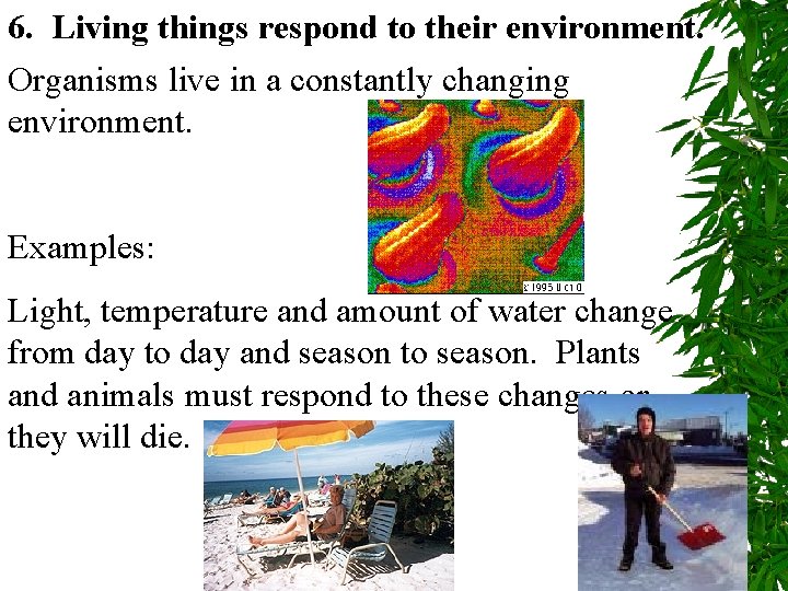 6. Living things respond to their environment. Organisms live in a constantly changing environment.