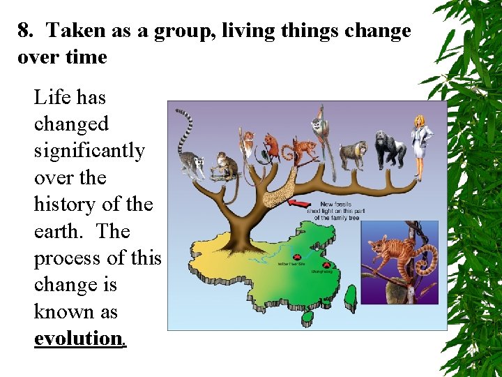 8. Taken as a group, living things change over time Life has changed significantly