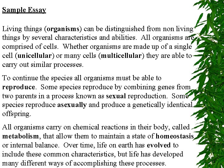 Sample Essay Living things (organisms) can be distinguished from non living things by several