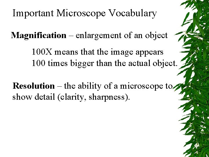 Important Microscope Vocabulary Magnification – enlargement of an object 100 X means that the