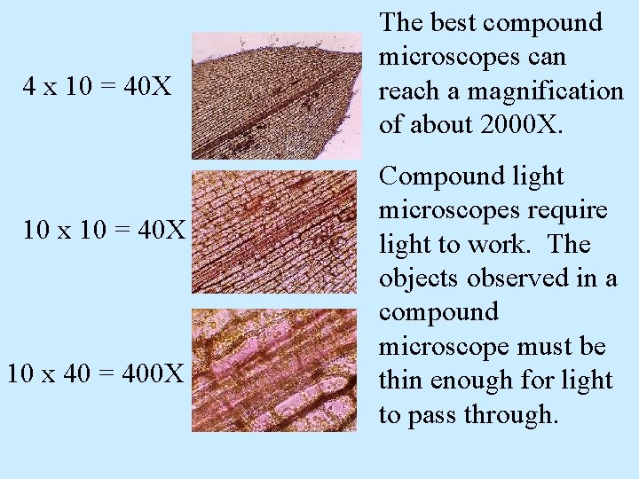 4 x 10 = 40 X 10 x 40 = 400 X The best