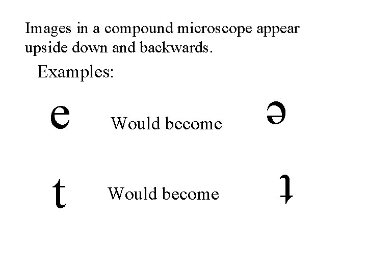 Images in a compound microscope appear upside down and backwards. Examples: t Would become