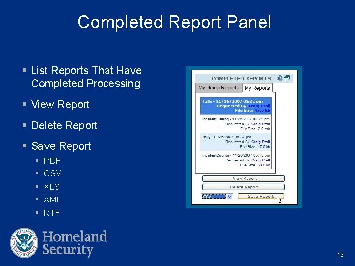 Completed Report Panel § List Reports That Have Completed Processing § View Report §
