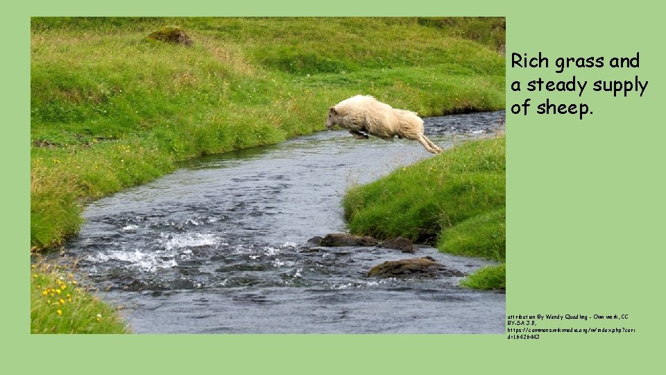 Rich grass and a steady supply of sheep. attribution: By Wendy Quadling - Own