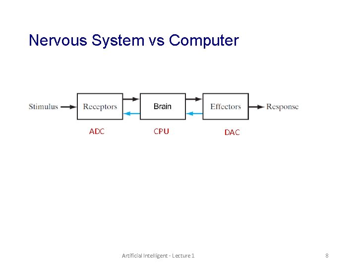 Nervous System vs Computer ADC CPU Artificial Intelligent - Lecture 1 DAC 8 