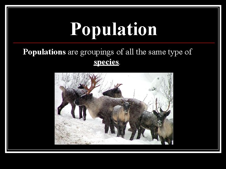 Populations are groupings of all the same type of species. 