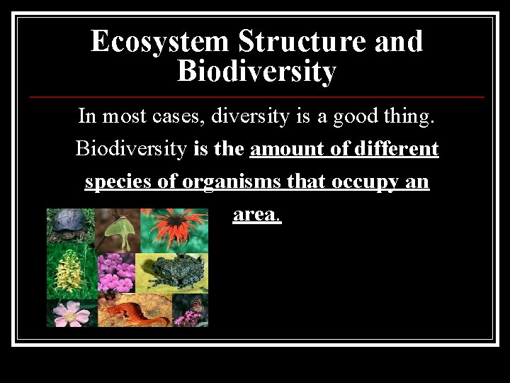 Ecosystem Structure and Biodiversity In most cases, diversity is a good thing. Biodiversity is