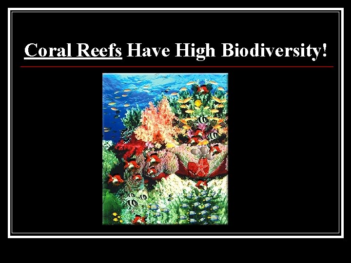 Coral Reefs Have High Biodiversity! 