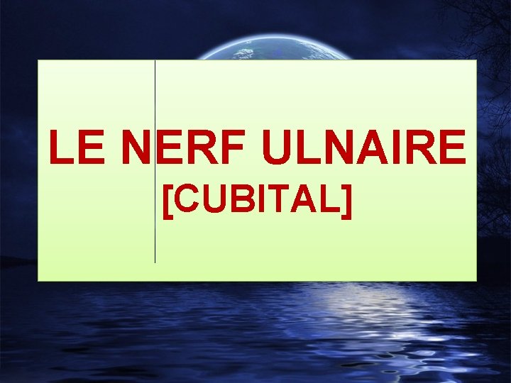 LE NERF ULNAIRE [CUBITAL] 