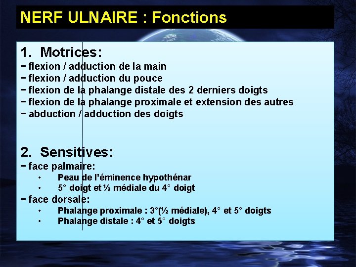 NERF ULNAIRE : Fonctions 1. Motrices: − flexion / adduction de la main −