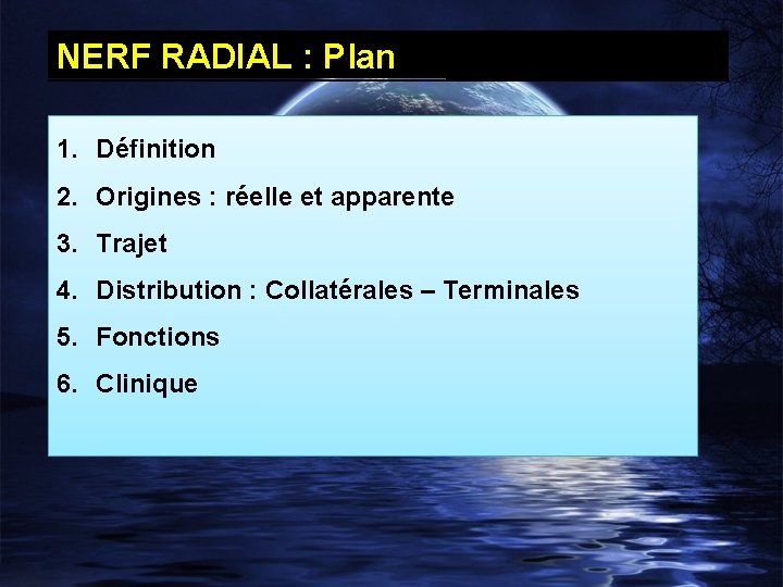 NERF RADIAL : Plan 1. Définition 2. Origines : réelle et apparente 3. Trajet