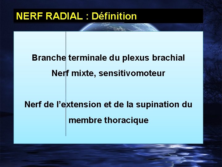 NERF RADIAL : Définition Branche terminale du plexus brachial Nerf mixte, sensitivomoteur Nerf de