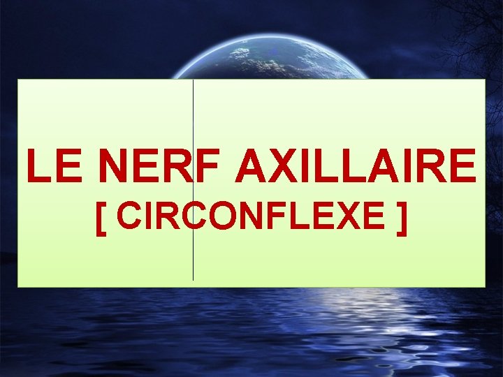 LE NERF AXILLAIRE [ CIRCONFLEXE ] 