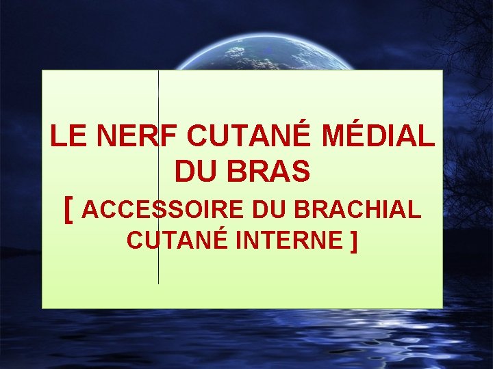 LE NERF CUTANÉ MÉDIAL DU BRAS [ ACCESSOIRE DU BRACHIAL CUTANÉ INTERNE ] 