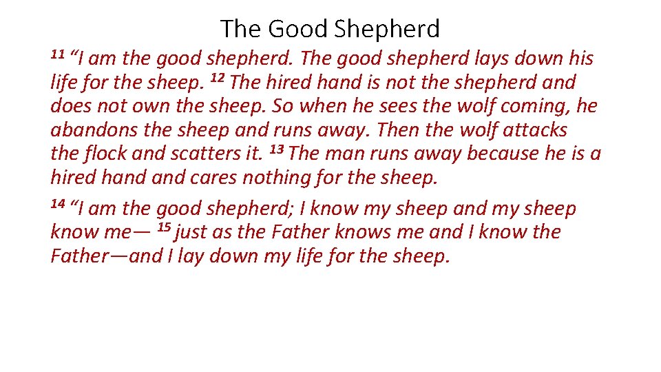 11 “I The Good Shepherd am the good shepherd. The good shepherd lays down