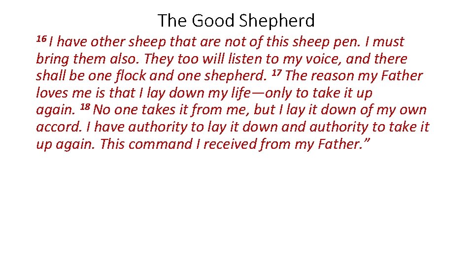 16 I The Good Shepherd have other sheep that are not of this sheep