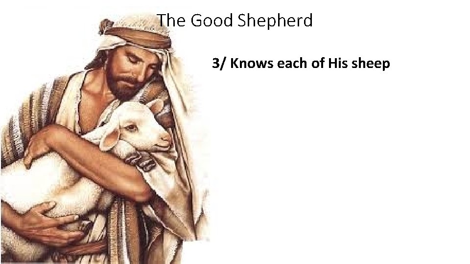 The Good Shepherd 3/ Knows each of His sheep 
