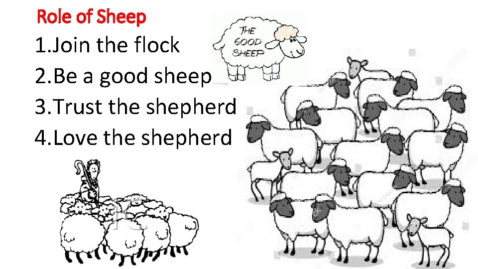 Role of Sheep 1. Join the flock 2. Be a good sheep 3. Trust