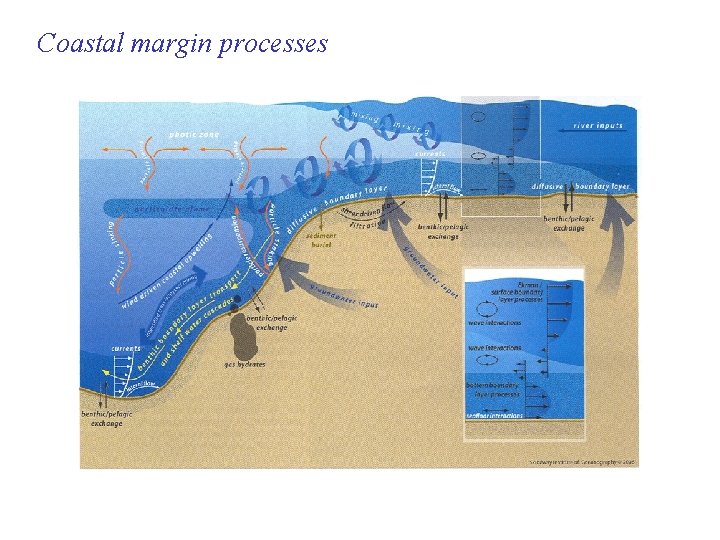 Coastal margin processes 