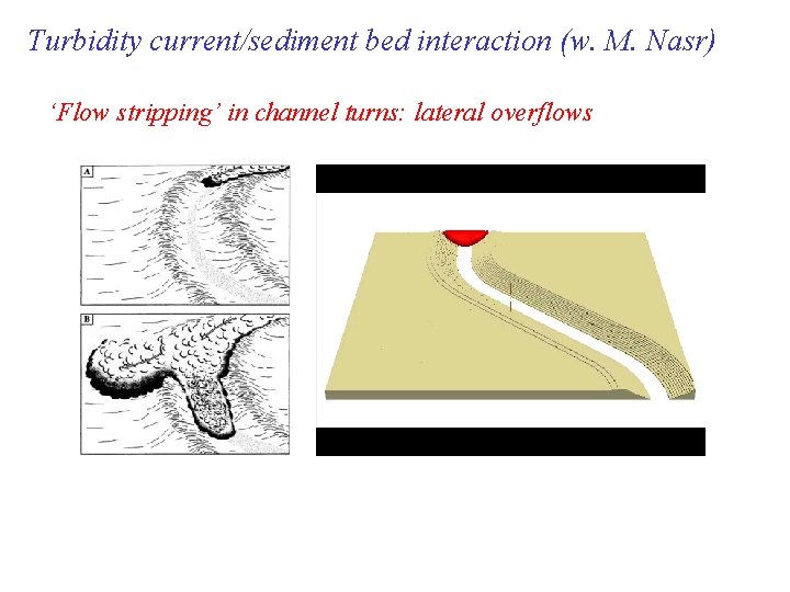 High Resolution Simulations of Turbidity Currents and River