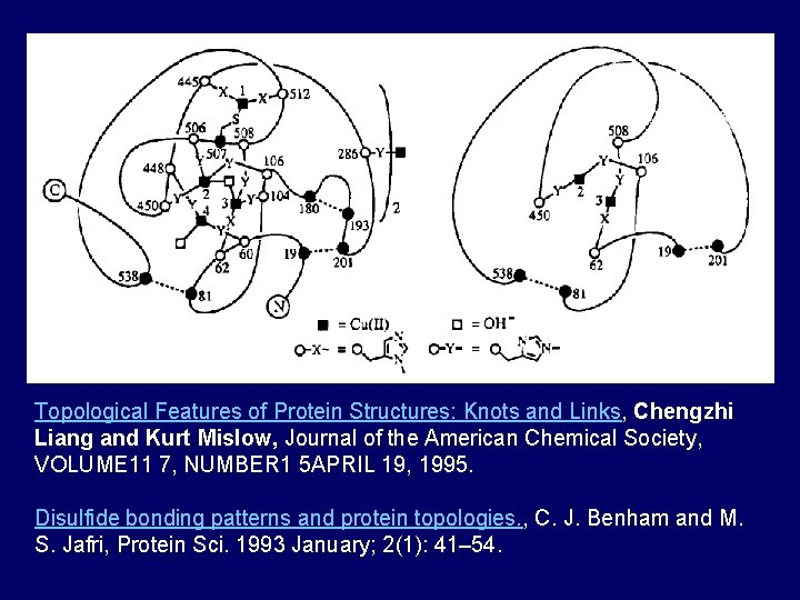 Topological Features of Protein Structures: Knots and Links, Chengzhi Liang and Kurt Mislow, Journal