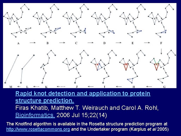 Rapid knot detection and application to protein structure prediction. Firas Khatib, Matthew T. Weirauch