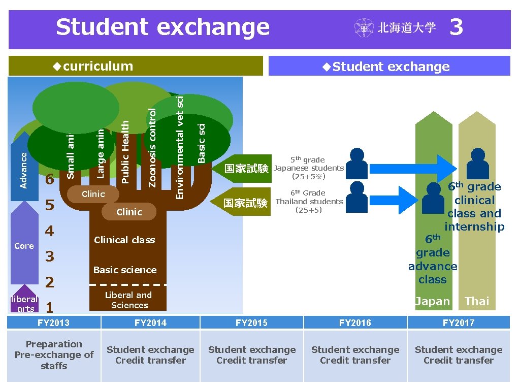 Student exchange 3 4 Core 3 liberal arts 2 1 FY 2013 Clinic Basic