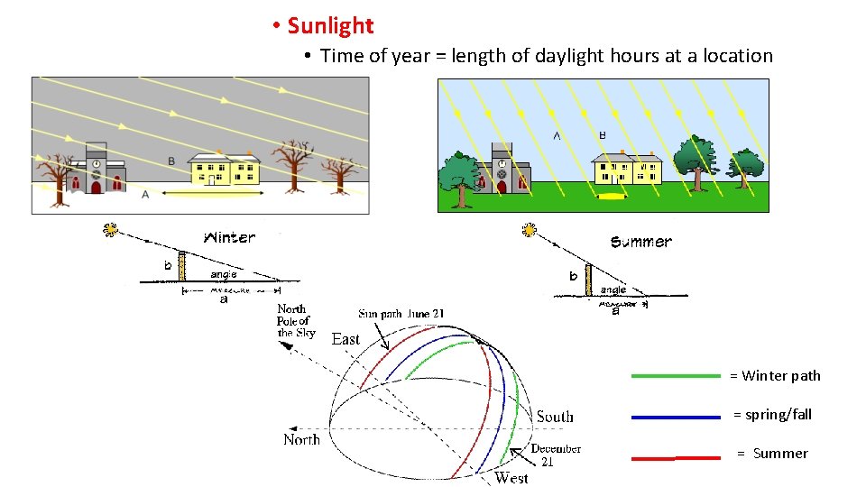  • Sunlight • Time of year = length of daylight hours at a