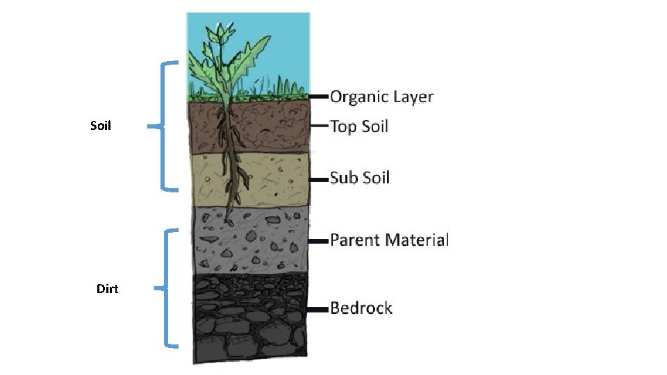 Soil Dirt 