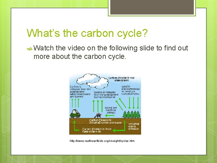 What’s the carbon cycle? Watch the video on the following slide to find out