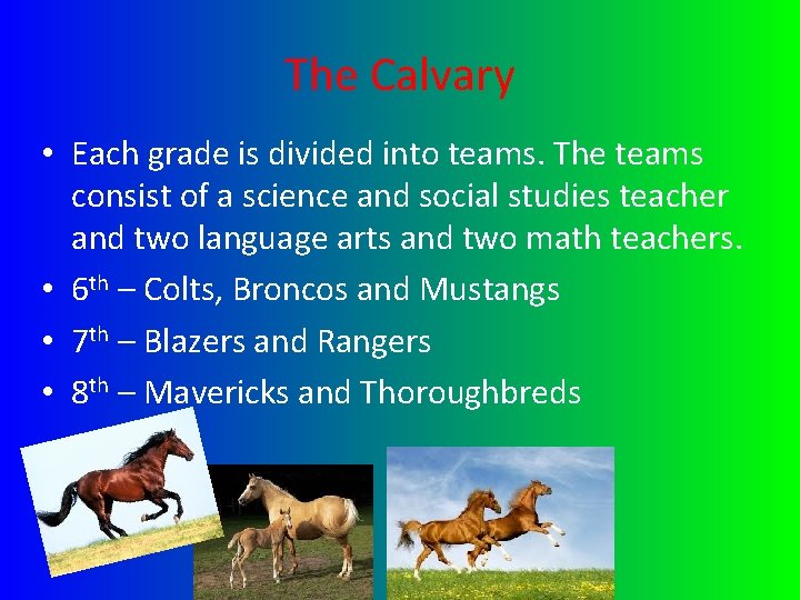 The Calvary • Each grade is divided into teams. The teams consist of a
