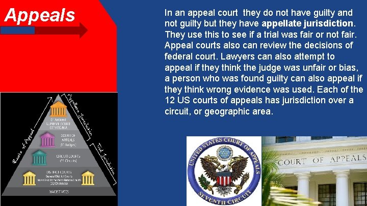 Appeals In an appeal court they do not have guilty and not guilty but