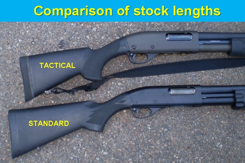 Comparison of stock lengths TACTICAL STANDARD 