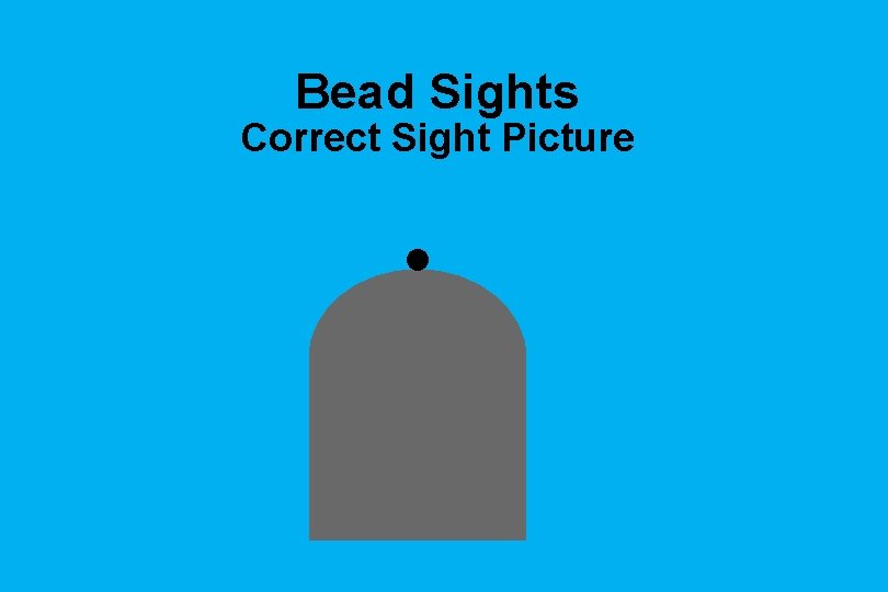 Bead Sights Correct Sight Picture 