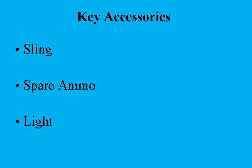 Key Accessories • Sling • Spare Ammo • Light 