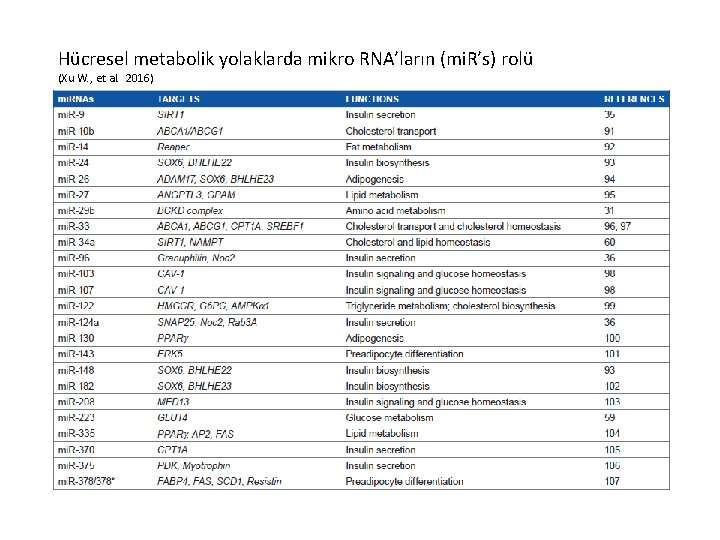 Hücresel metabolik yolaklarda mikro RNA’ların (mi. R’s) rolü (Xu W. , et al. 2016)