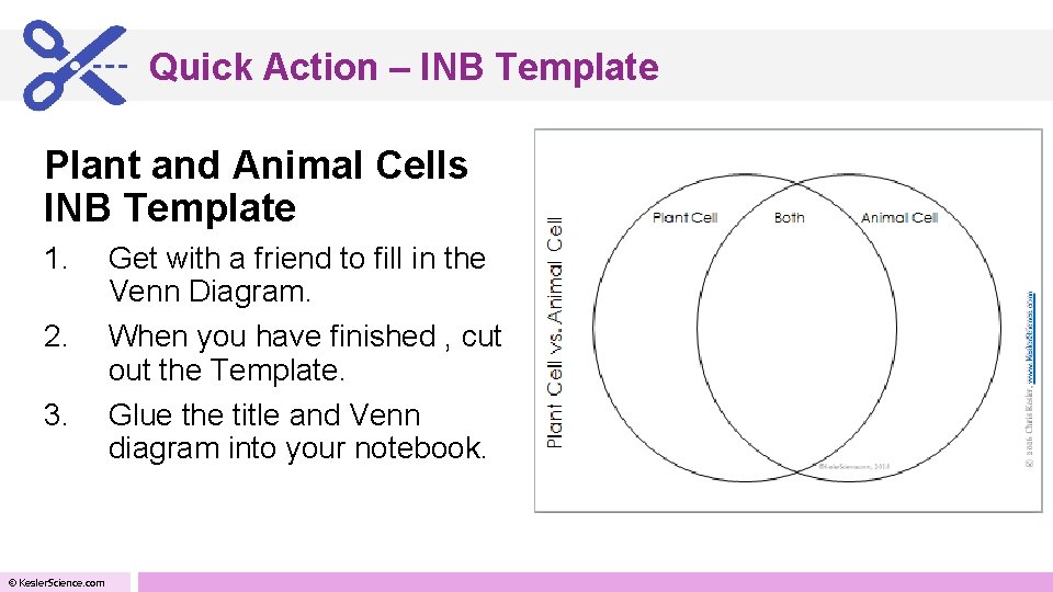 Quick Action – INB Template Plant and Animal Cells INB Template 1. 2. 3.