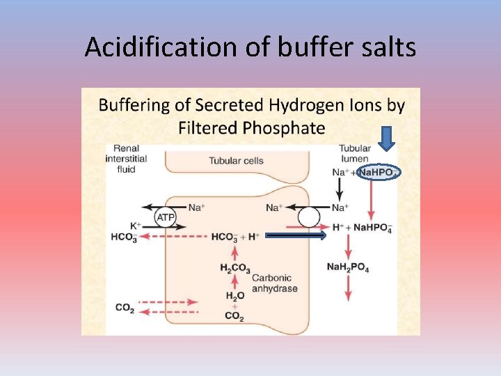 Acidification of buffer salts 